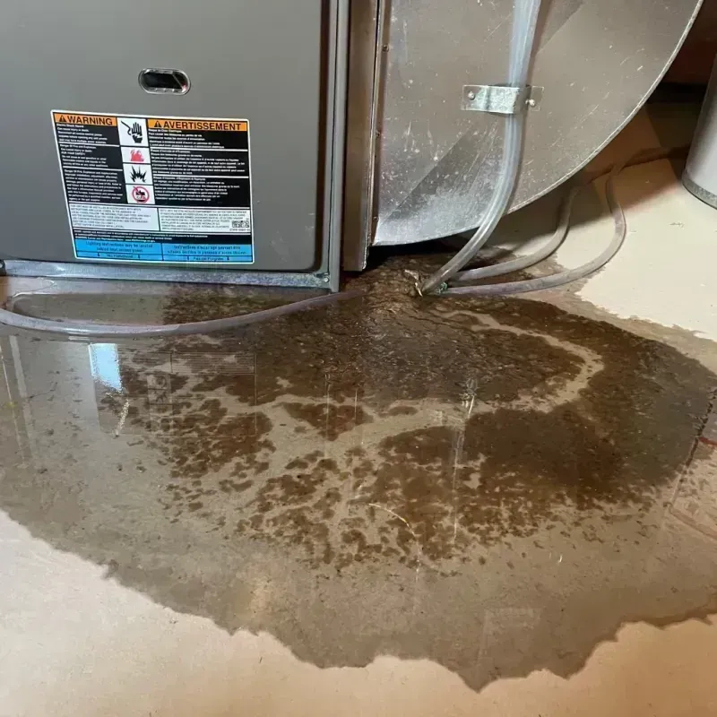 Appliance Leak Cleanup in Rye, NY